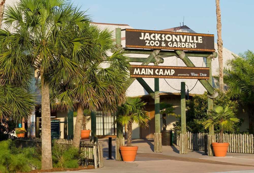 Jacksonville Zoo And Gardens Wcci