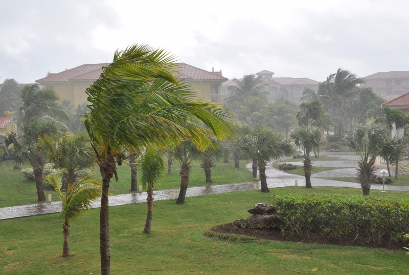 Florida Storm